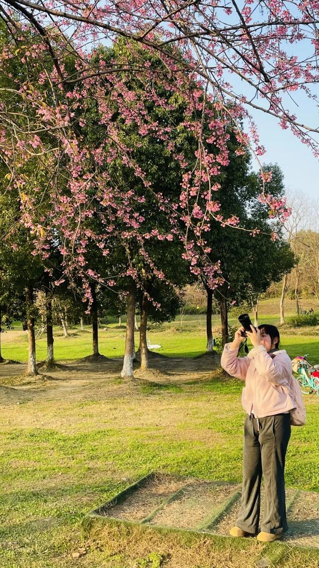 赏花何必等春！这个冬天，成都花儿都开men了→
