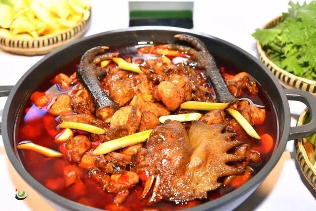 乡游黔中 · 水城区 播落村丨草海翻金浪，彝歌醉秋霞