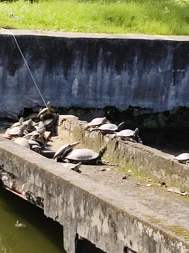 南行漫记：离开南充走G318到达遂宁，驻车圣莲岛营地