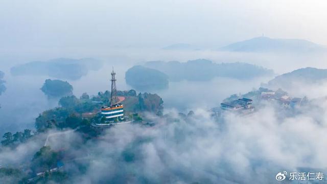 除了“YYDS”，我们还可以这样夸仁寿