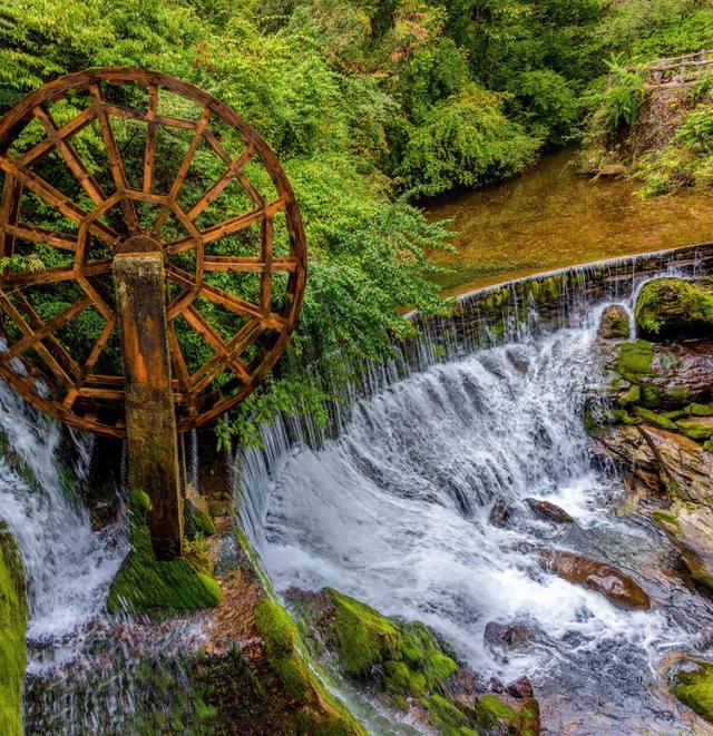 世界自然遗产、物种基因库、北纬31°绿色奇迹——神农架旅游攻略