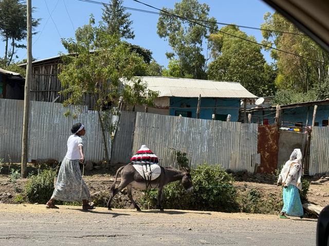 【联合国特别大师】人类祖先露西与世界选美