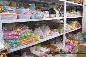 1500只“全红婵同款”小乌龟，不一样了？图片