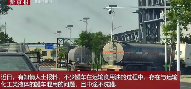 信号越来越明显！新加坡总理公开支持高市后，金龙鱼凉得更快了