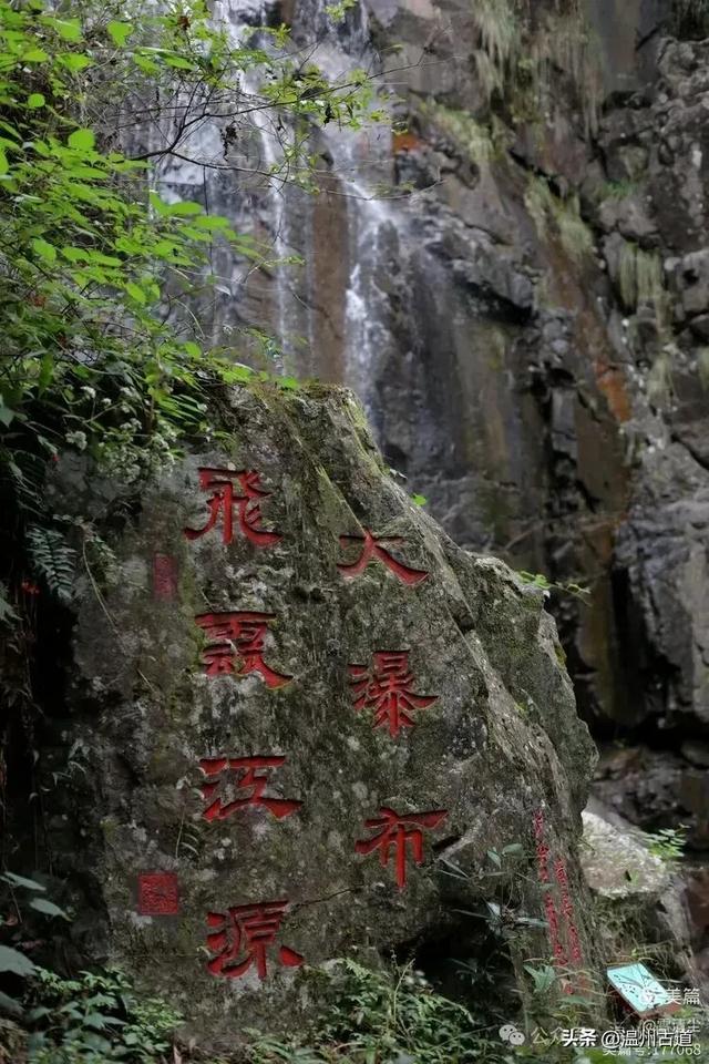 远上乌岩岭上斜,白云生处白云尖!温州这处秋日美景值得一去!