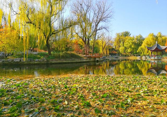 狂风散尽现碧空 北京市民陶然亭公园共赴“大风蓝”之约