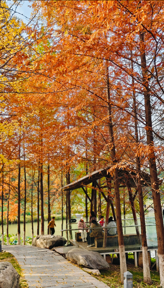 西安城区4个绝美秋景打卡地！