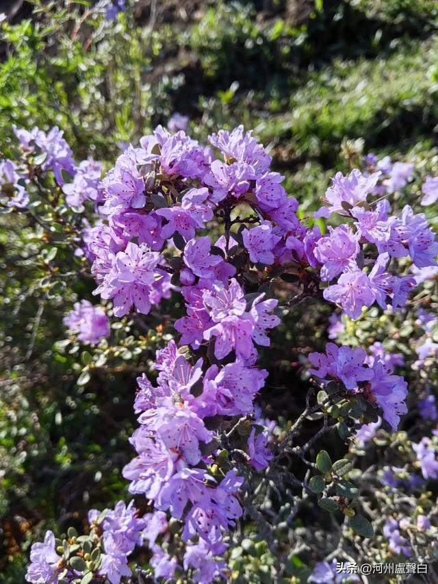 成功登顶母太子山