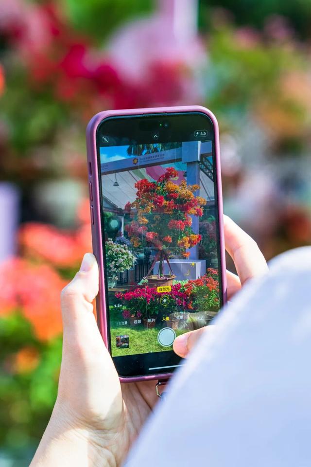 挤爆了！今天莲花山都是人人人，网友：感觉全深圳都来了！