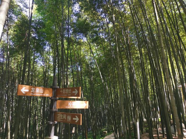 永川竹山茶海赋