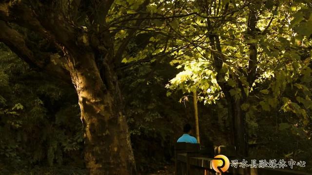 秋日黔行・养在贵州丨箐山晨光里的诗意康养