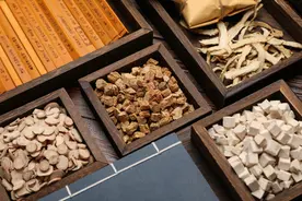 中途疲软？想要实现超长待机 , 得心肾同补 , 提高专注度才能久战不倒图片