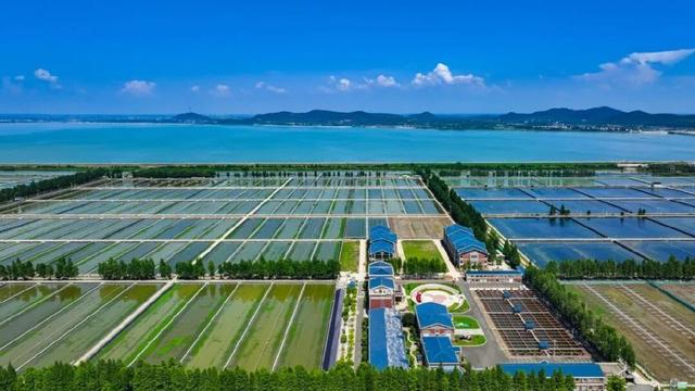 来不来？不来后悔一辈子