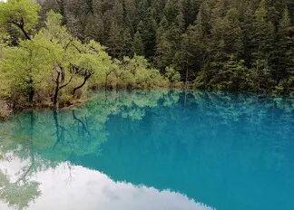 【美丽四川】九寨归来不看水‖管恒庆