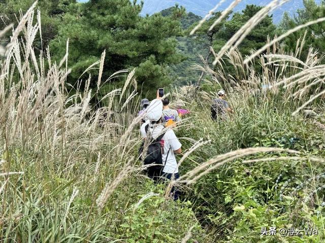 ​​​忍着胸上方肋骨的疼痛，爬了个齐长城，累计拔高900+，走了13公里