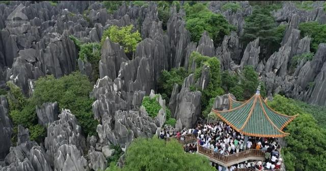 出发前疯狂赶作业，离别时满眼不舍