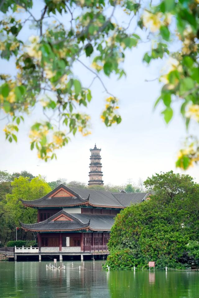 惠州的美好，藏不住了！！！