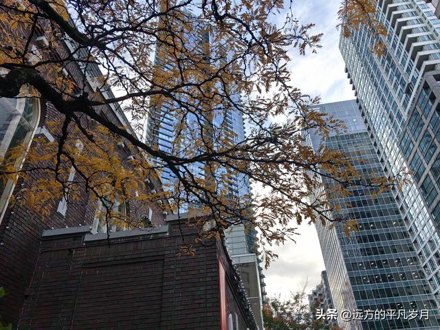 温哥华游记（一）