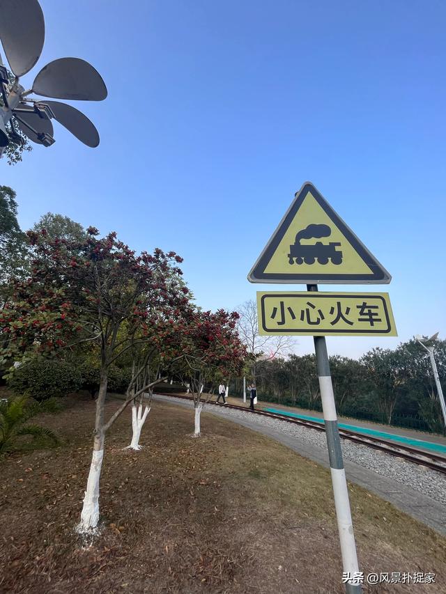 南昌凤凰洲湿地公园，美的不像话！