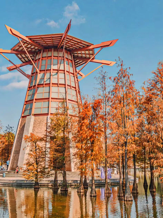 趣游周末丨佛山落羽杉地图！解锁色彩斑斓的绝美秋天！