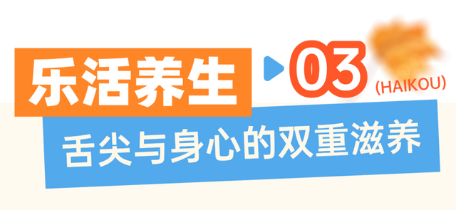 海口给长辈的舒适旅行指南
