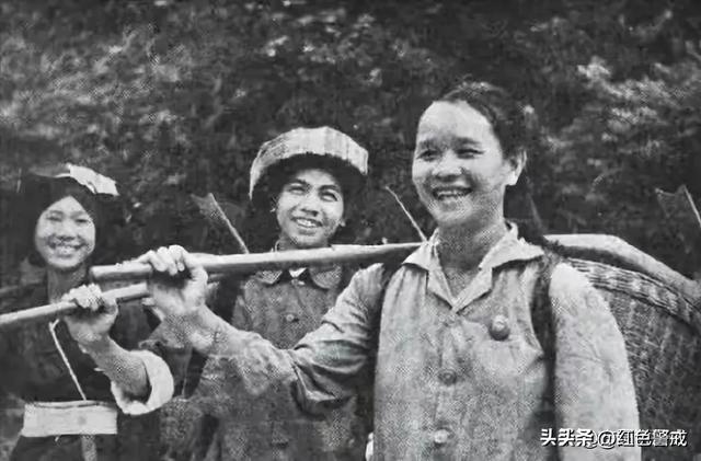 她从大队书记到中央候补委员，84年被开除党籍，退休后住进深山中