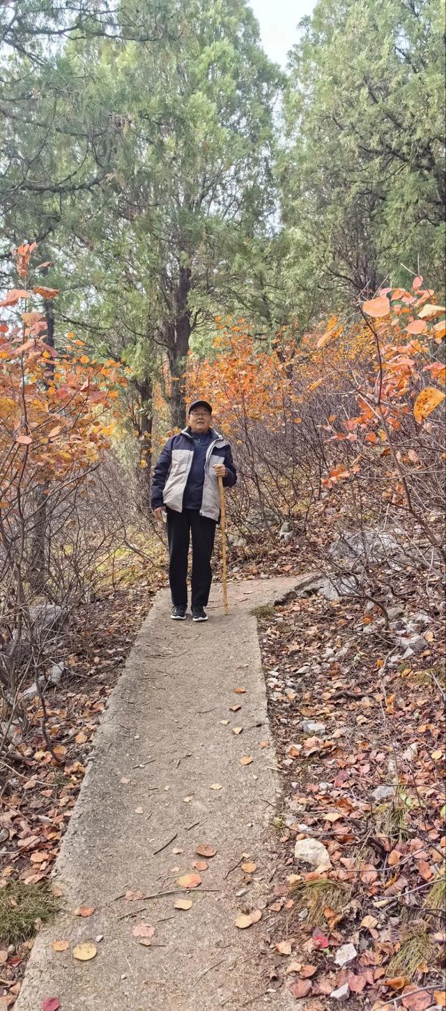 去博山盆泉张丹顶赏红叶