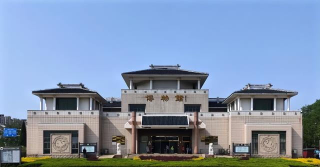 “我想离开浪浪山，去东营转转！”