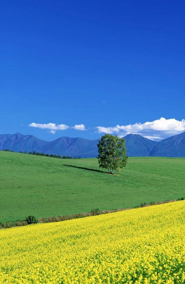 性与命和寿的关系：好命长寿的男人：往往身上有这几种特征！