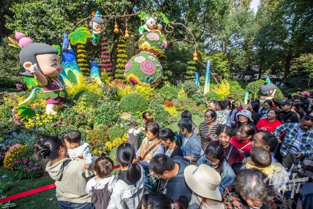 全是人人人人人！一年一度杭州“顶流”人气菊花展登场