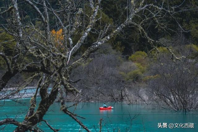 秋天不去西藏玉许乡，真的会遗憾一整年！3日沉浸式漫游指南送你！