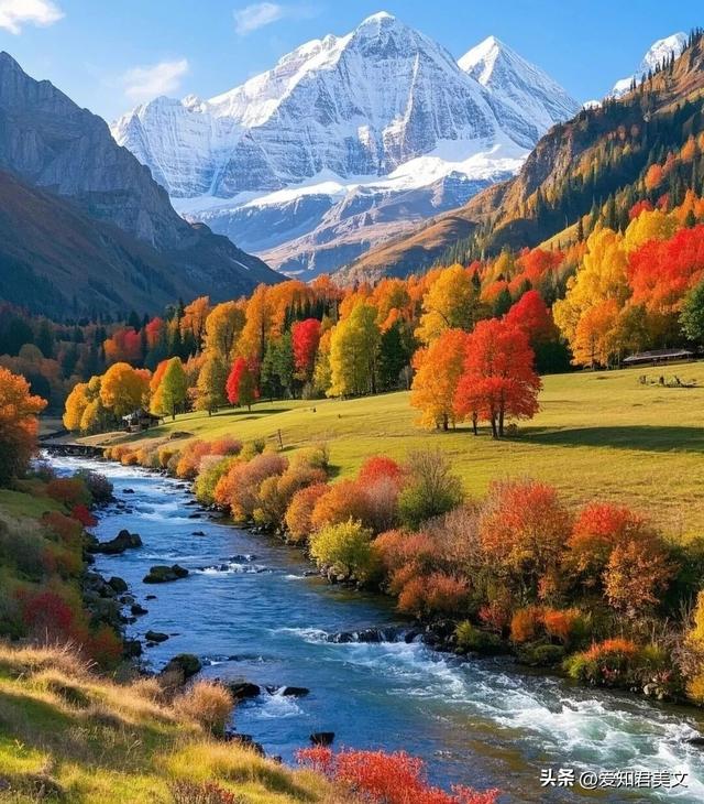 夕阳下的枫林，秋日里的温柔梦境