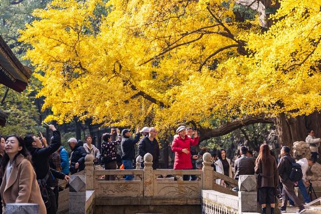 高清大图带你领略晋祠的秋