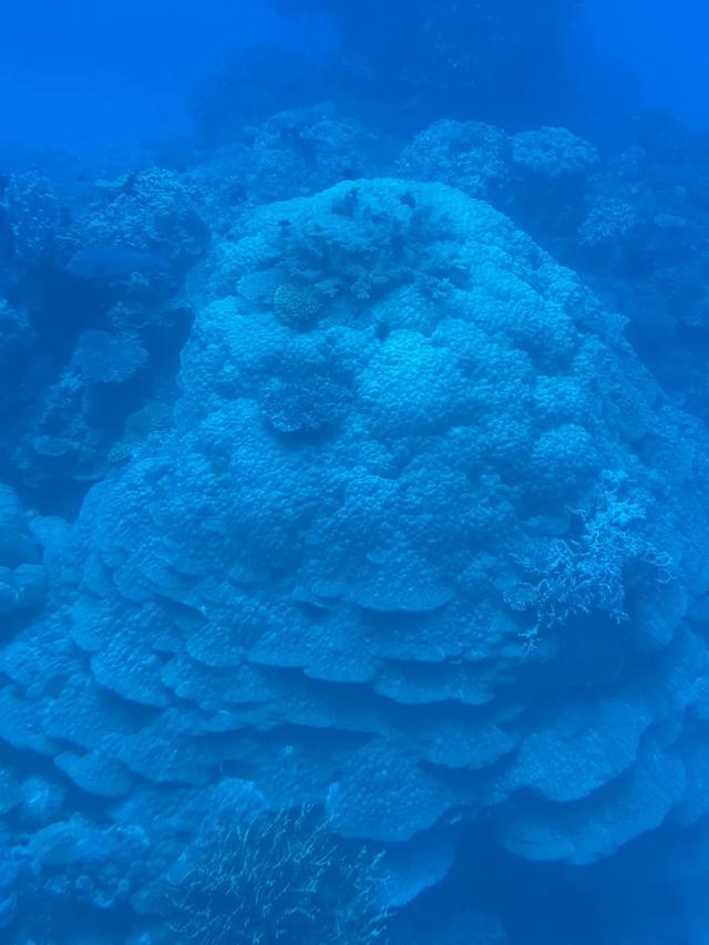 澳大利亚22日世界文化遗产与自然之旅游记