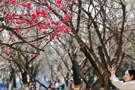 降水、升温至38℃、热干风！西安最新天气→图片