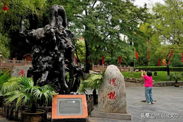 洪洞大槐树寻根之旅