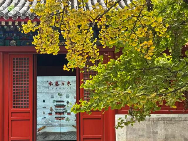 花式赏秋、文创上新，石景山这个古寺将迎最美时节！