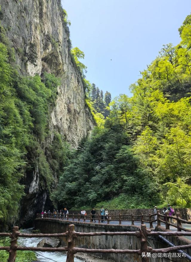 避暑胜地·康养宕昌｜夏日逃离热浪计划！来官鹅沟大景区，把日子过成“天然养生帖”~