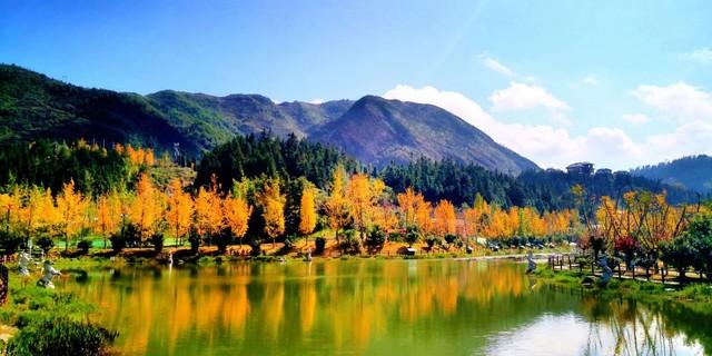 贵州私藏的5个秋色仙境，最后一个惊艳了千年时光！