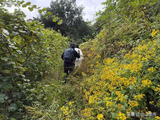 攀登昆明十峰之宜良老爷山，经历密林大雨考验，惊喜交加，难忘