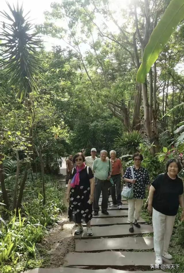 西双版纳自由行之九: 曼听公园《西双版纳的最后记忆》