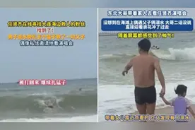 大连海滩救人大哥发视频找被救者：为了女儿的未来，急需这份证明图片