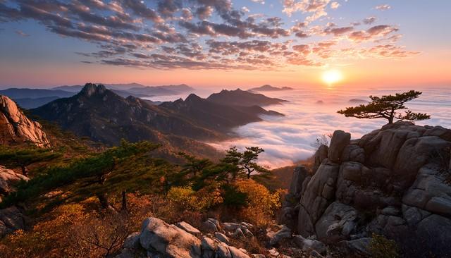 断航不扫秋兴！5个国内"熟透秋景"平替日本，规模颜值双碾压！