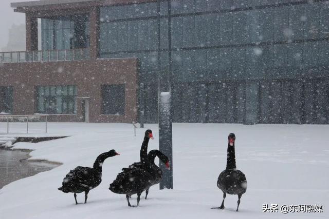【今日立冬】秋景仍在，东阿中医药文化旅游区邀您共赴赏景之旅！