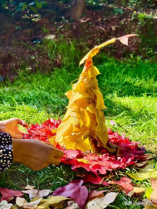 初冬氛围感出片计划，走起！昆明这份打卡攻略速速收藏→