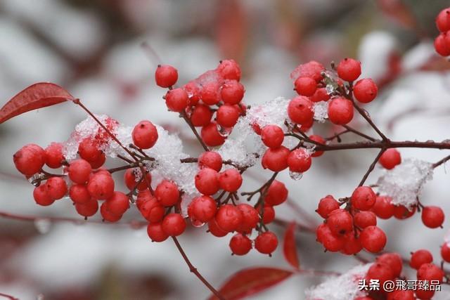 穷游，为何成为时代新宠