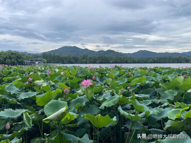 杭州西湖不买票直接进去吗？该怎么计划路线？有什么注意事项？