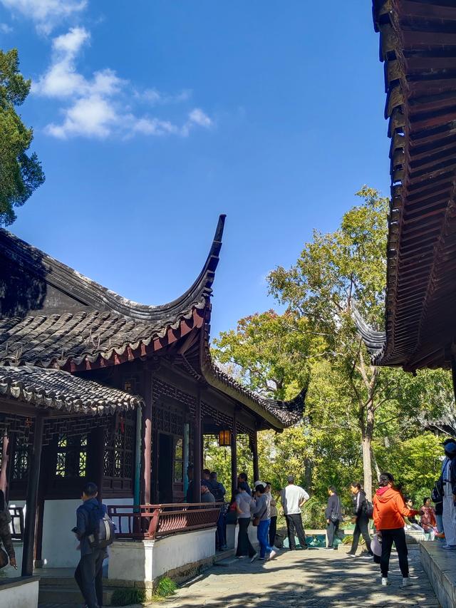 踏入苏州拙政园才懂得什么叫“一园藏尽江南梦”