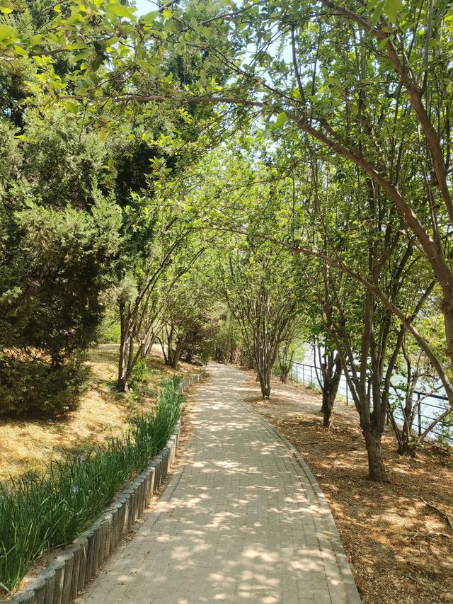 天津《复兴河公园》