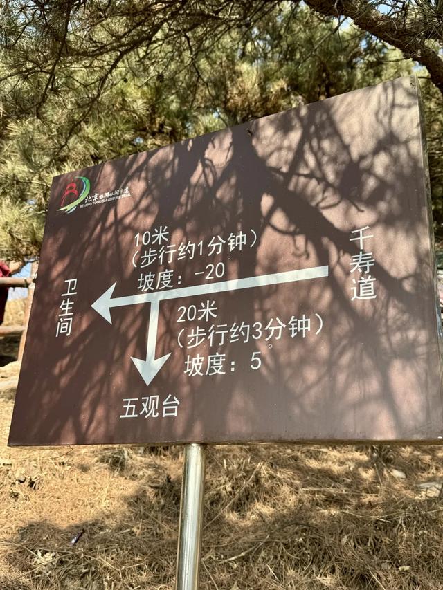 均温19℃,8-9月最清凉的6个森林公园,天然大氧吧!!